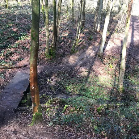 L'ecureuil Des Lacs-4 Pers Chalé Froid-Chapelle